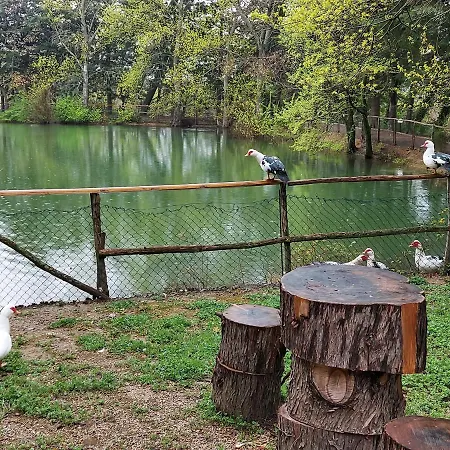 Chiosi Country Club Corleone