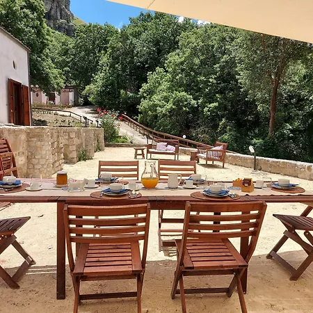 Chiosi Country Club 住宿加早餐酒店 科莱奥内