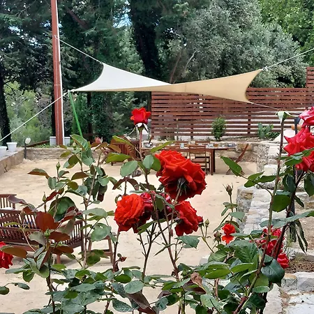 Chiosi Country Club 科莱奥内